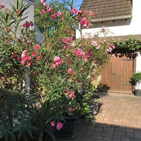 Appartamento Onkel Nik - Premium Lofts & *