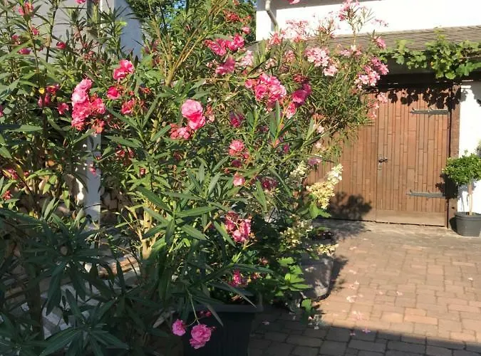 Onkel Nik - Premium Lofts & Apartament